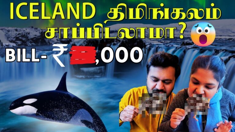 🤑Bill இவ்வளவா?😲😱😨 சுறா ஊருகயா🙄🧐 Sea food review in Iceland 👩‍🍳😋🍖 #Icelandfood