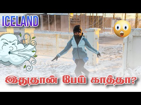 இதுதான் ICELAND specialty😲😱😨 GOLDEN CIRCLE in Iceland 🥶😇 One day travel plan 🧳🥳 #iceland #travel