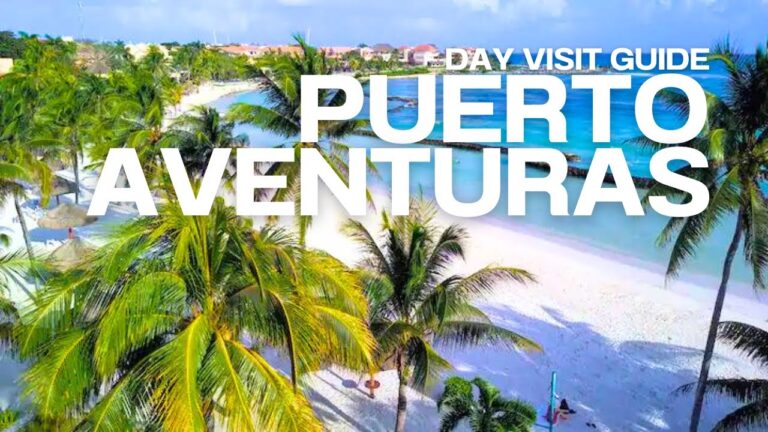 🇲🇽 Puerto Aventuras Mexico: A Guide to Swimming with Dolphins, Snorkeling, the Beach, and Others