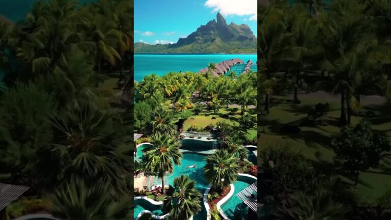 Explore Bora Bora’s Enchanting Beauty #shorts #travel #tiktok #borabora