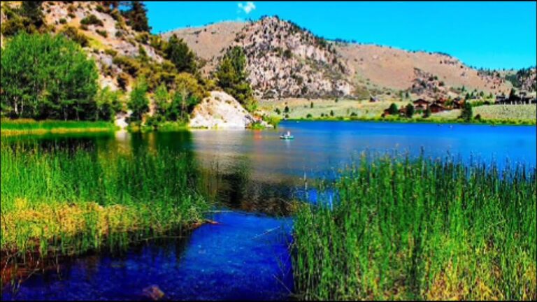 Yosemite National Park | Yosemite Park Vacation Travel | Yosemite Park Winter |  Yosemite Park USA