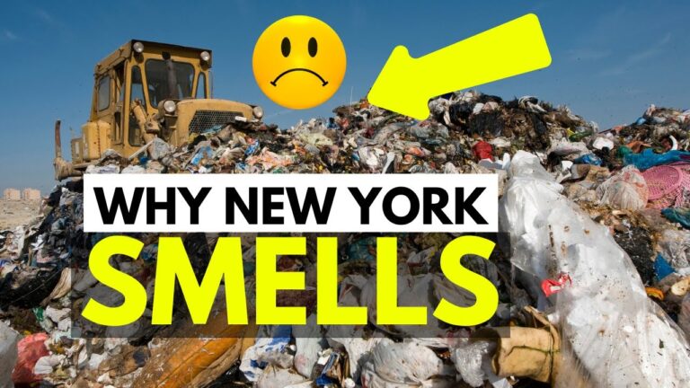 WHY NEW YORK CITY SMELLS SO BAD