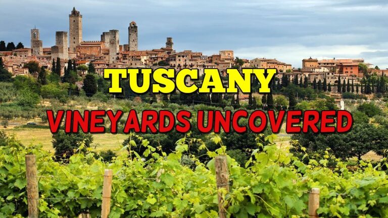 Tuscany Vineyards Uncovered: Explore Italy’s Finest Wine Regions