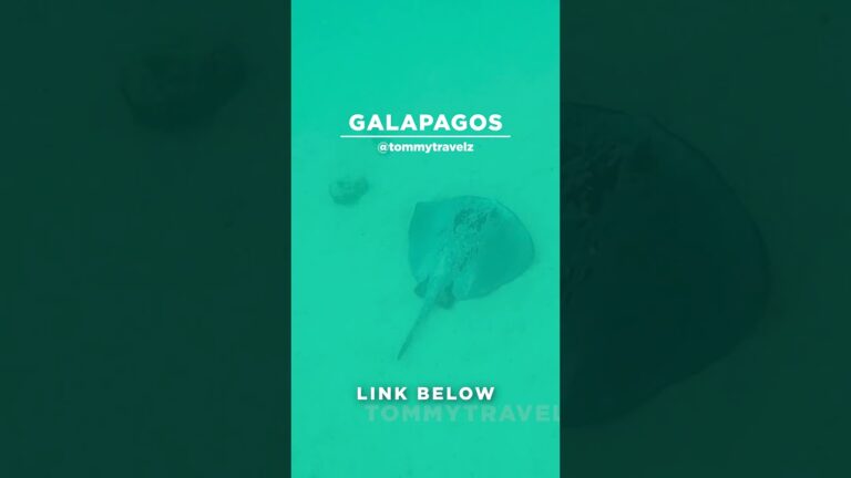 #TommyTravelz #travelnow #traveltips #galapagos #sancristobal #santacruz #islabaltra #isabelaisland