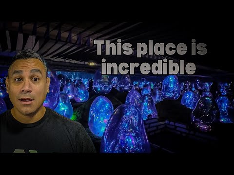 teamLab Planets in Tokyo is AMAZING Coolest Experience in Tokyo