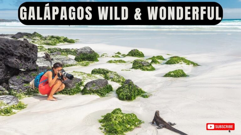 What It’s Like to Visit the Galápagos Islands – Wildlife Paradise! – Travel Video