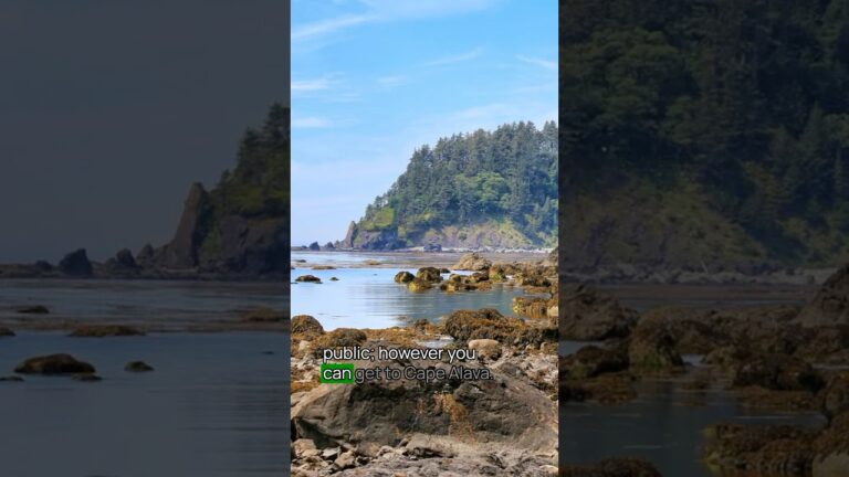 Best Olympic National Park Beach No. 8 #olympic #olympicnationalpark #usnationalparks #bucketlist