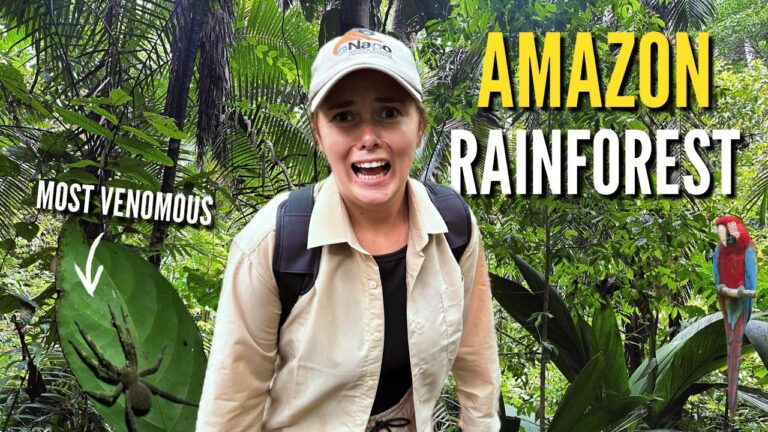 We Journeyed DEEP Into the AMAZON (It Wasn’t What We Expected)
