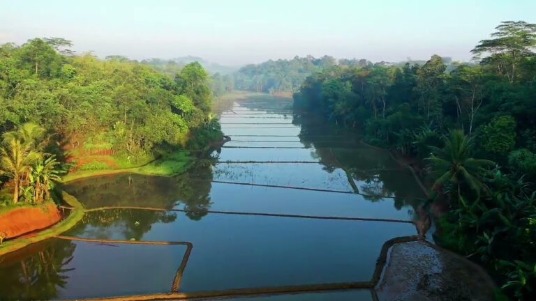 AGRİCULTURE OF INDONESIA
