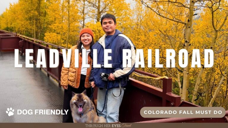 Leadville Railroad Fall Train Ride With Our Dog 2026 | Rain, Fog and Golden Aspens